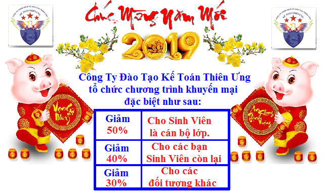 Khuyến mại chào Xuân Kỷ Hợi 2019 Khuyến mại chào Xuân Kỷ Hợi 2019